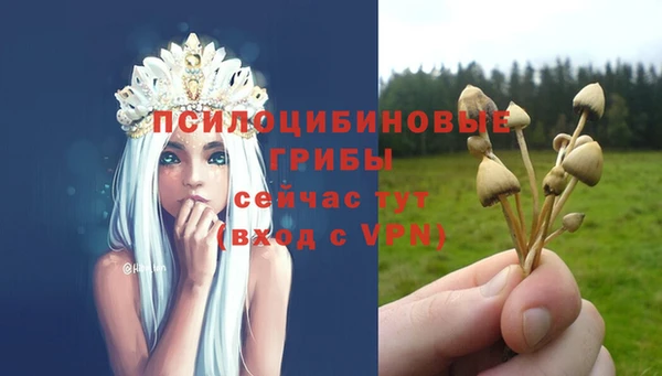 ПСИЛОЦИБИНОВЫЕ ГРИБЫ Алексин