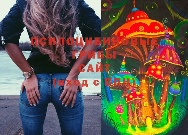 метамфетамин Алексеевка